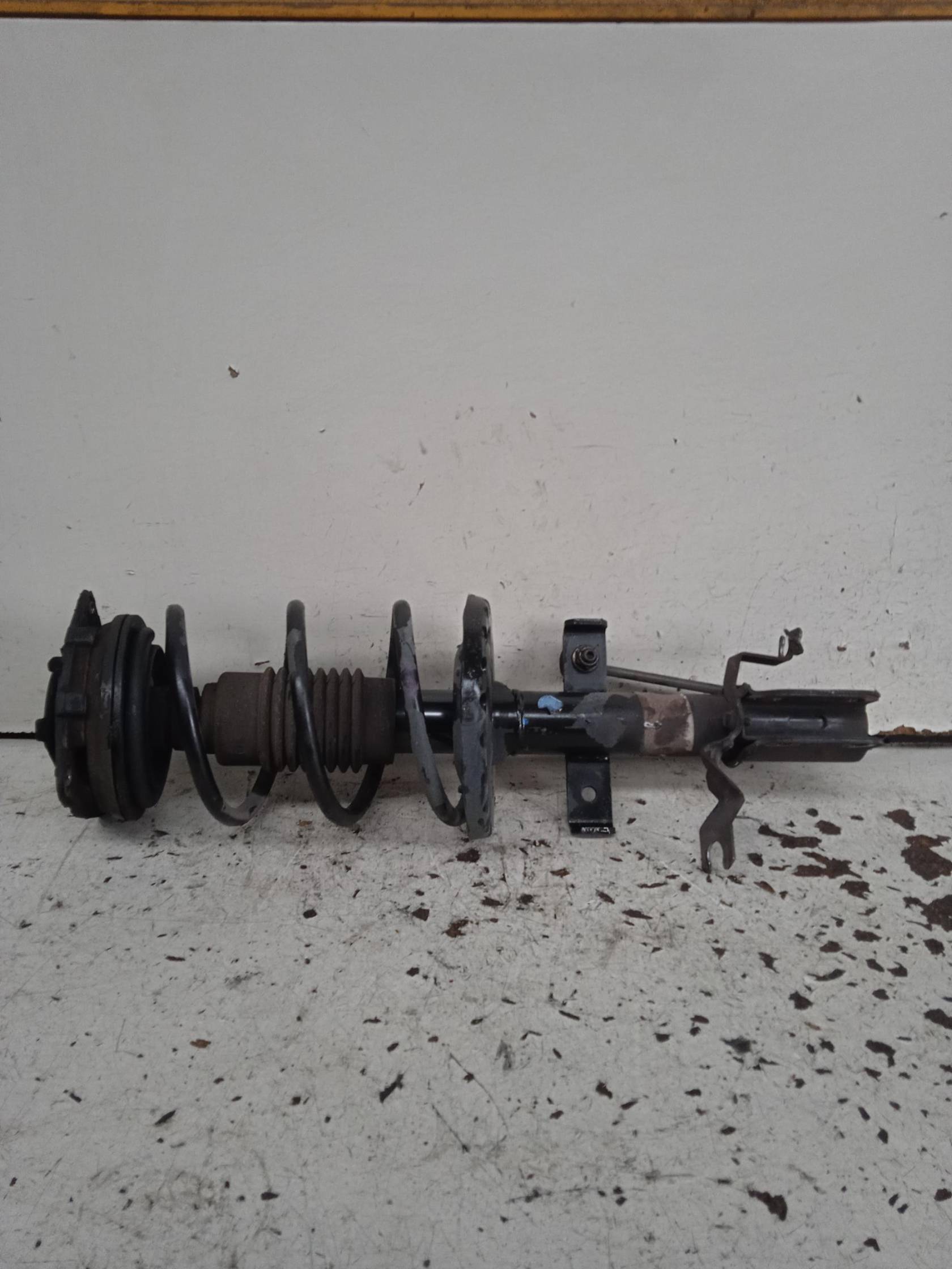 Ammortizzatore ant. sx.